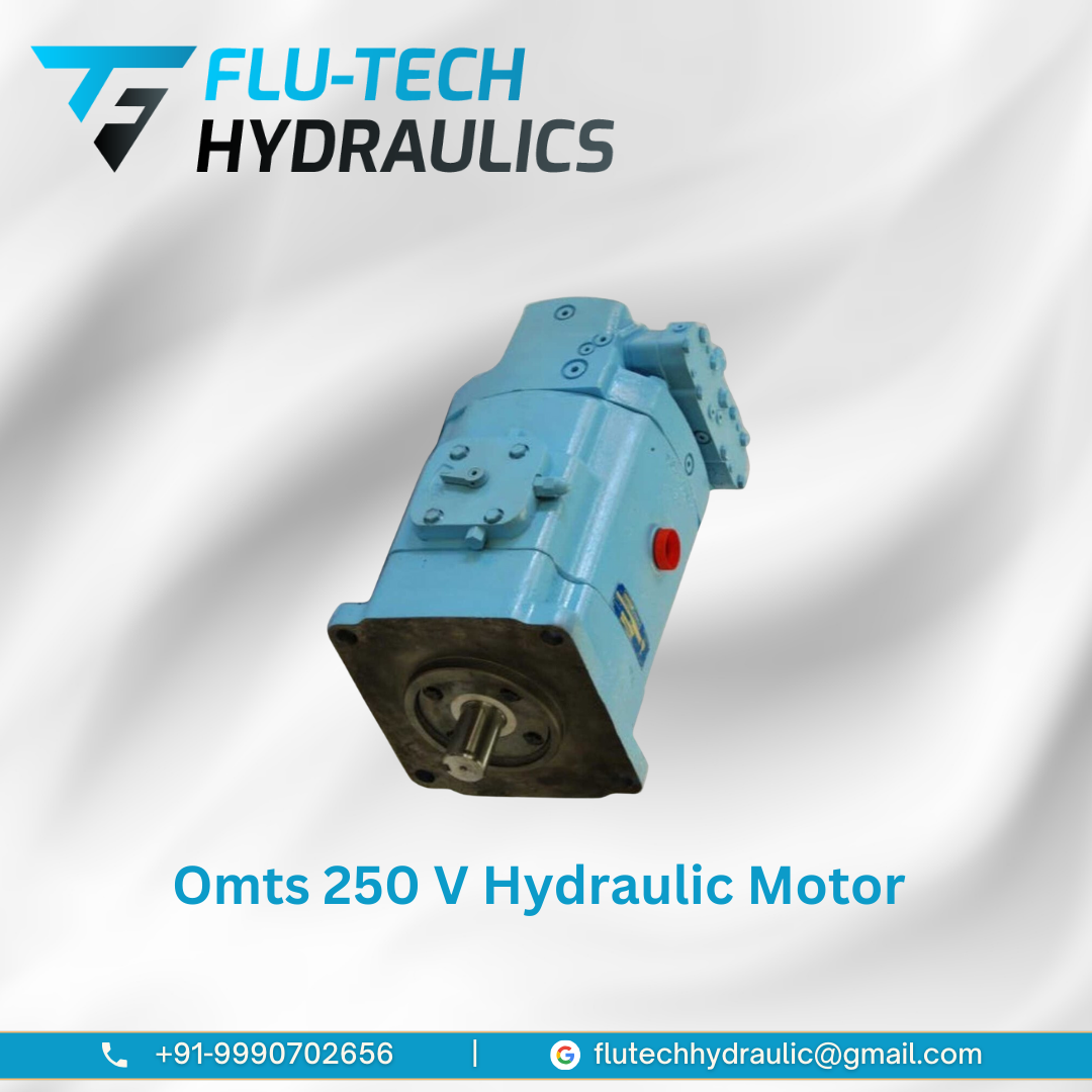 OMTS 250 V Hydraulic Motor Repair Service in Delhi NCR